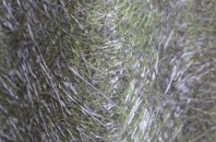 Barton Mills fibreglass roof work